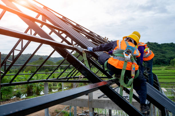 Best Flat Roof Repair Services  in La Grange, KY